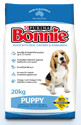 Bonnie Puppy